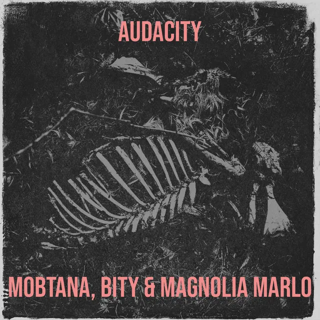 Audacity