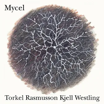 Mycel by Torkel Rasmusson