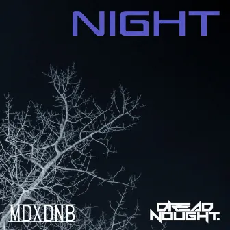 Night by 