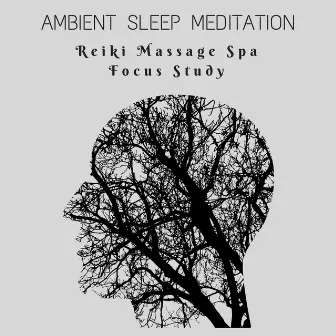 Ambient Sleep Meditation: Reiki Massage Spa, Focus Study by S is for Sleep