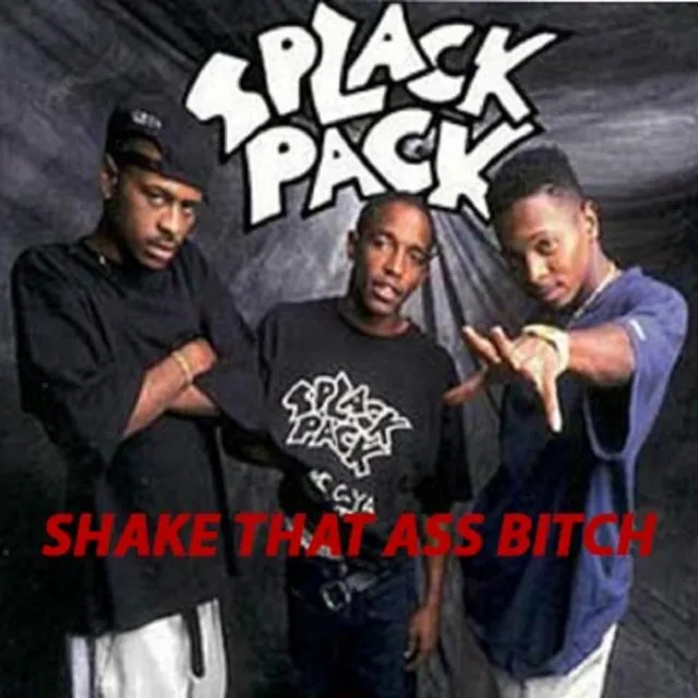 Shake That Ass Bitch - Remix