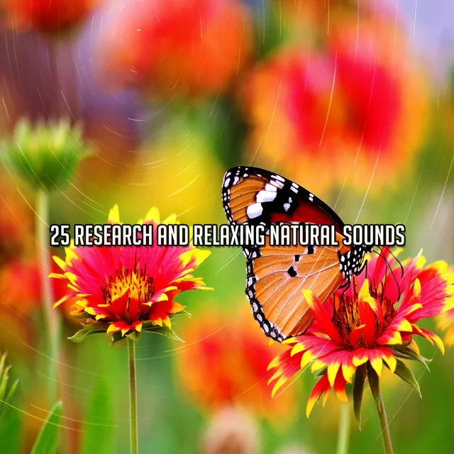 25 Research And Relaxing Natural Sounds