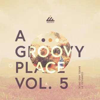 A Groovy Place, Vol. 5 by Michael Banel