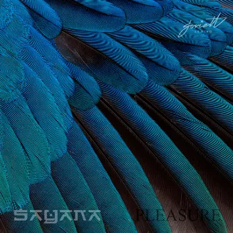 Pleasure by Sayana