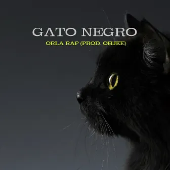 Gato Negro by ORLA RAP