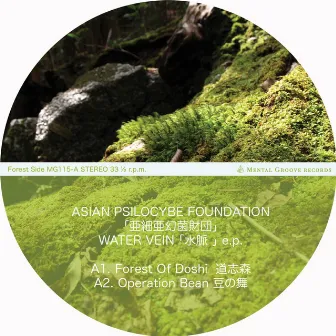 Water Vein EP by Asian Psilocybe Foundation