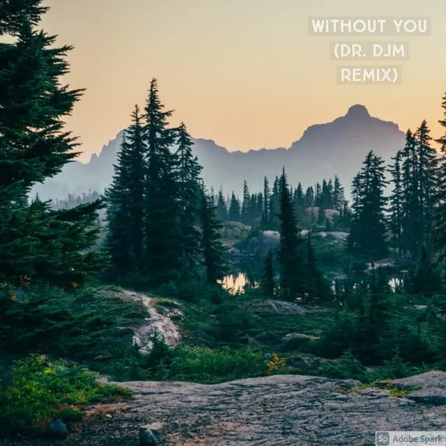 Without You