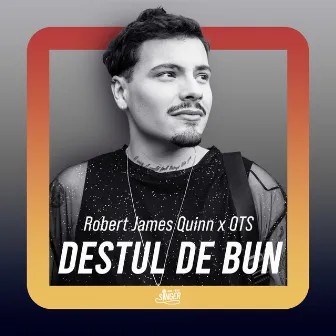 Destul de bun by Robert James Quinn