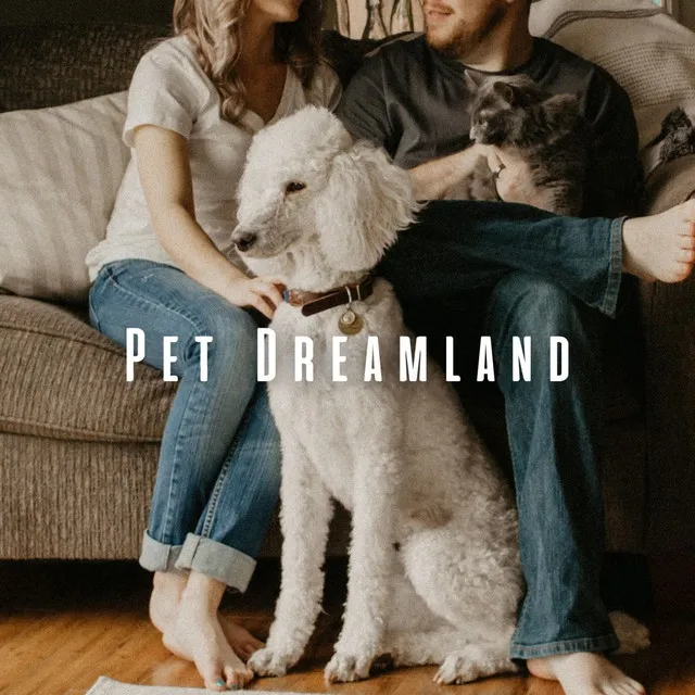 Pet Dreamland: Tranquil Pink Noise for Restful Pet Sleep