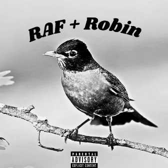 RAF + Robin by George the IV