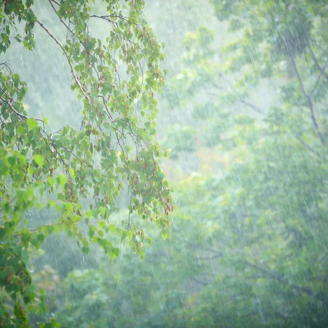 Shower Moments in Meditative Tranquility