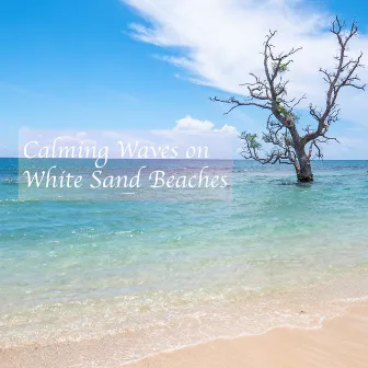 Calming Waves on White Sand Beaches by Riding the Waves