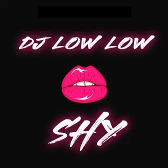 Shy by DJ Low Low