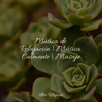 50 Sonidos de la Naturaleza Para Dormir y Meditar by Musica Para Relajarse