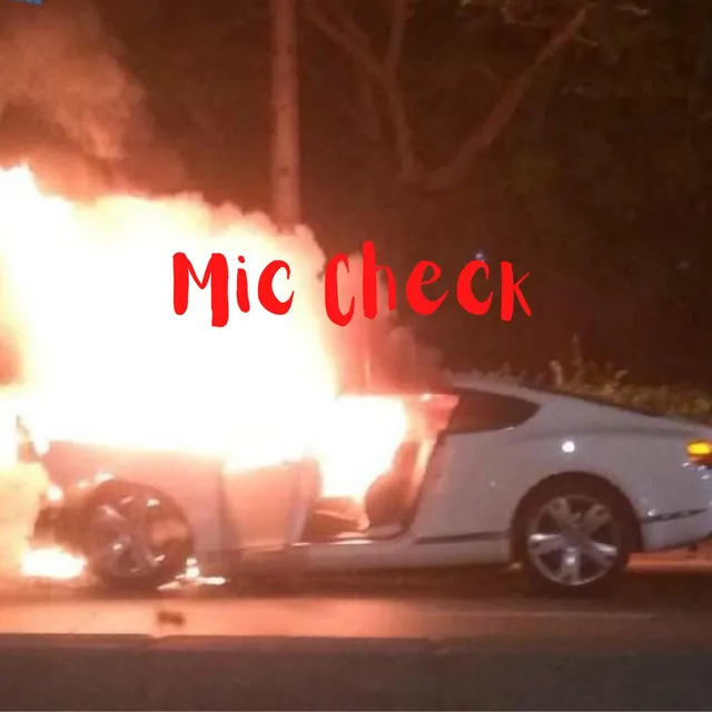 Mic Check