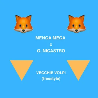 Vecchie volpi (freestyle) by Unknown Artist