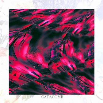 Catacomb by Shelter Point