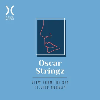 View from the Sky by Oscar Stringz