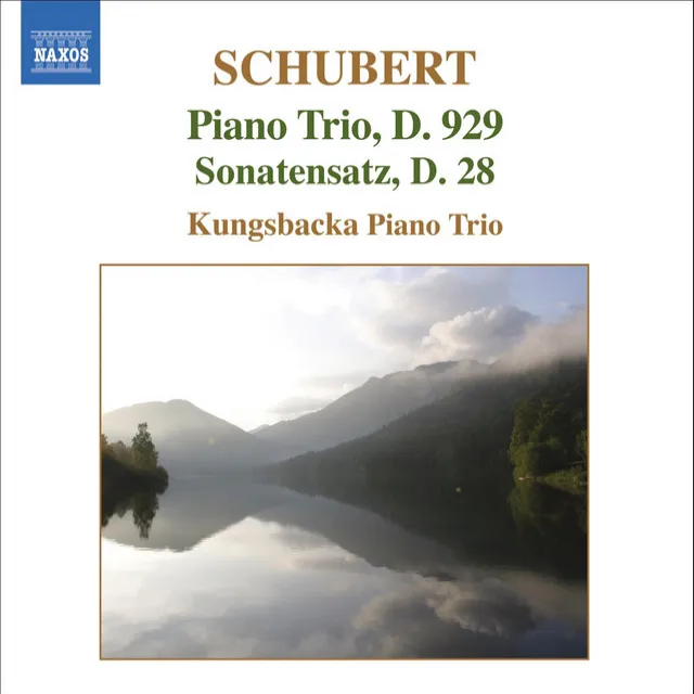 Piano Trio in E-Flat Major, Op. 100, D. 929: II. Andante con moto