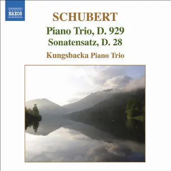 Schubert: Piano Trio No. 2 in E Flat Major - Sonatensatz by Kungsbacka Piano Trio