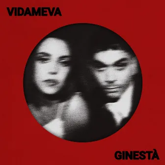 VIDA MEVA by Ginestà