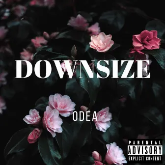 Downsize by Odea.