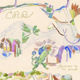 Barefoot in the Head by Chris Robinson Brotherhood