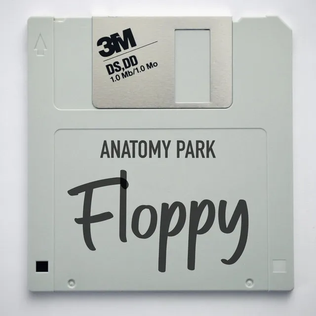 Floppy