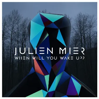 When Will You Wake Up? by Julien Mier