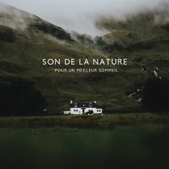 Son de la nature pour un meilleur sommeil by Unknown Artist