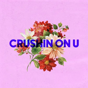 crushin on u by Icy Kash