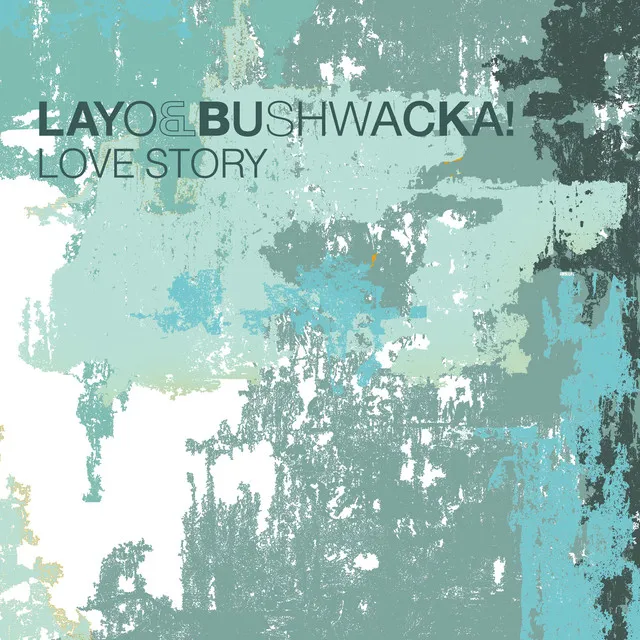 Love Story - Bushwacka! Remix