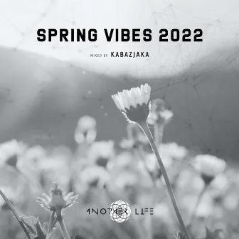 Spring Vibes 2022 (DJ Mix) by Unknown Artist