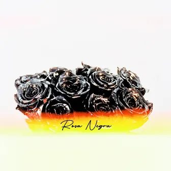 Rosa Negra by Waze