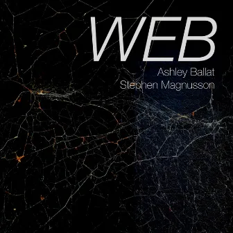 Web by Stephen Magnusson