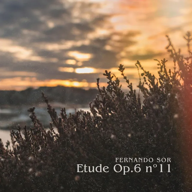 Etude Op. 6 Nº11 (Piano Transcription)