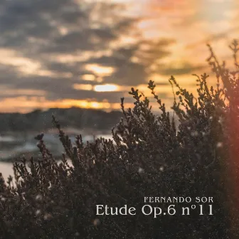 Etude Op. 6 Nº11 (Piano Transcription) by Ivan Ruiz Serrano