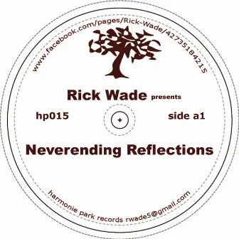 Never Ending Reflections by Rick Wade