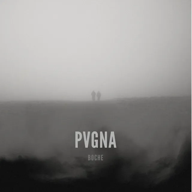 PVGNA