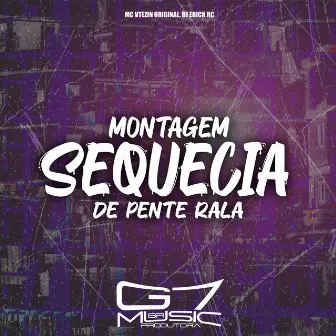 Montagem Sequêcia de Pente Rala by DJ ERICK RC