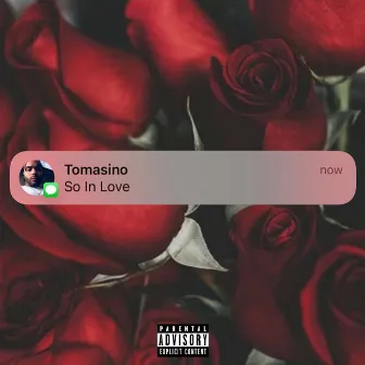 So in Love by Tomasino