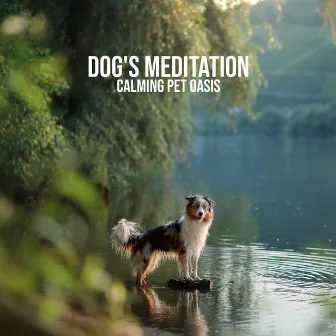 Dog's Meditation: Calming Pet Oasis - Relaxing Music, Anxiety and Insomnia Treatment, Cozy and Safe Ambient by Pet Music Doctor