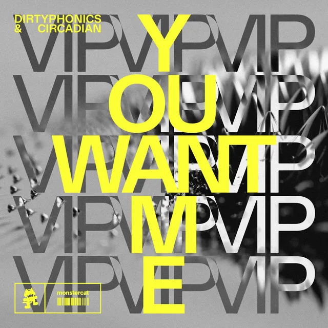 You Want Me (VIP)