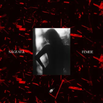 Femeie by Sageata