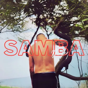 Samba by Dealer