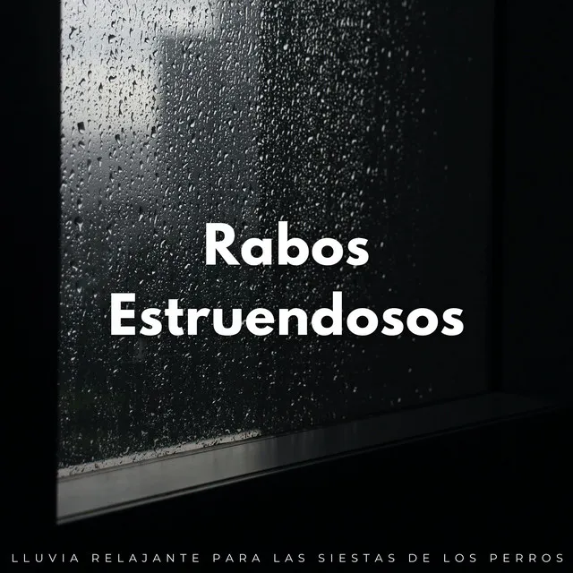 Colas De Lluvia Relajantes