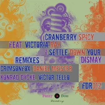 I Settle Down Your Dismay (feat. Victoria Ray) by Cranberry Spicy