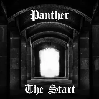 The Start by Panther