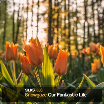 Our Fantastic Life by Snowgaze