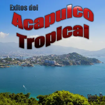 Exitos Del Acapulco Tropical, Vol. 2 by Acapulco Tropical